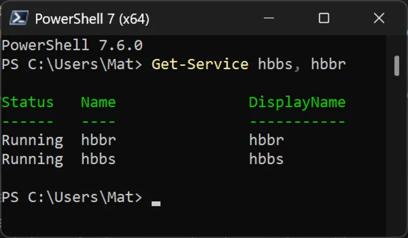 Saída do PowerShell mostrando os serviços hbbs e hbbr rodando com início automático